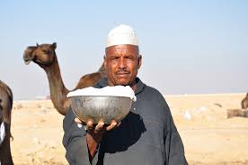 The power of camel milk