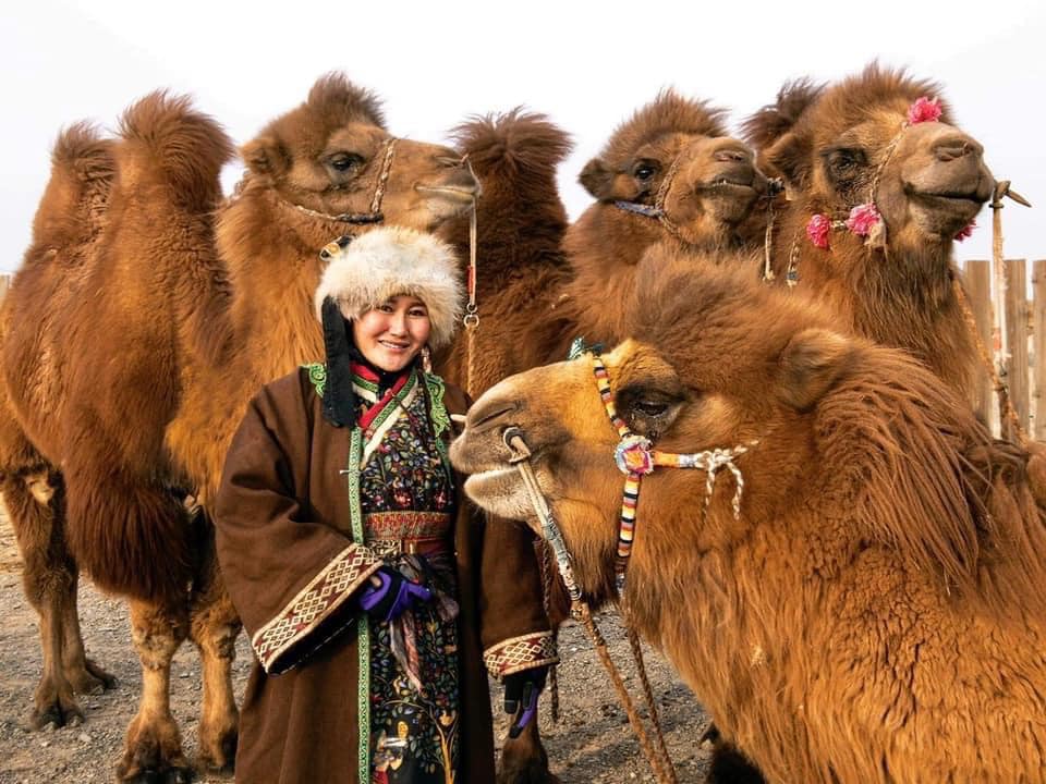 Baikal - the Mongolian camel queen