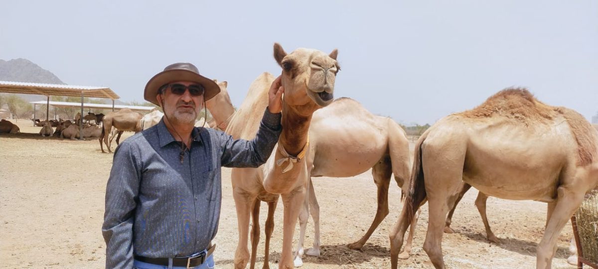 Founder of the World Camel Day with a beautiful happy camel in Fujairah UAE