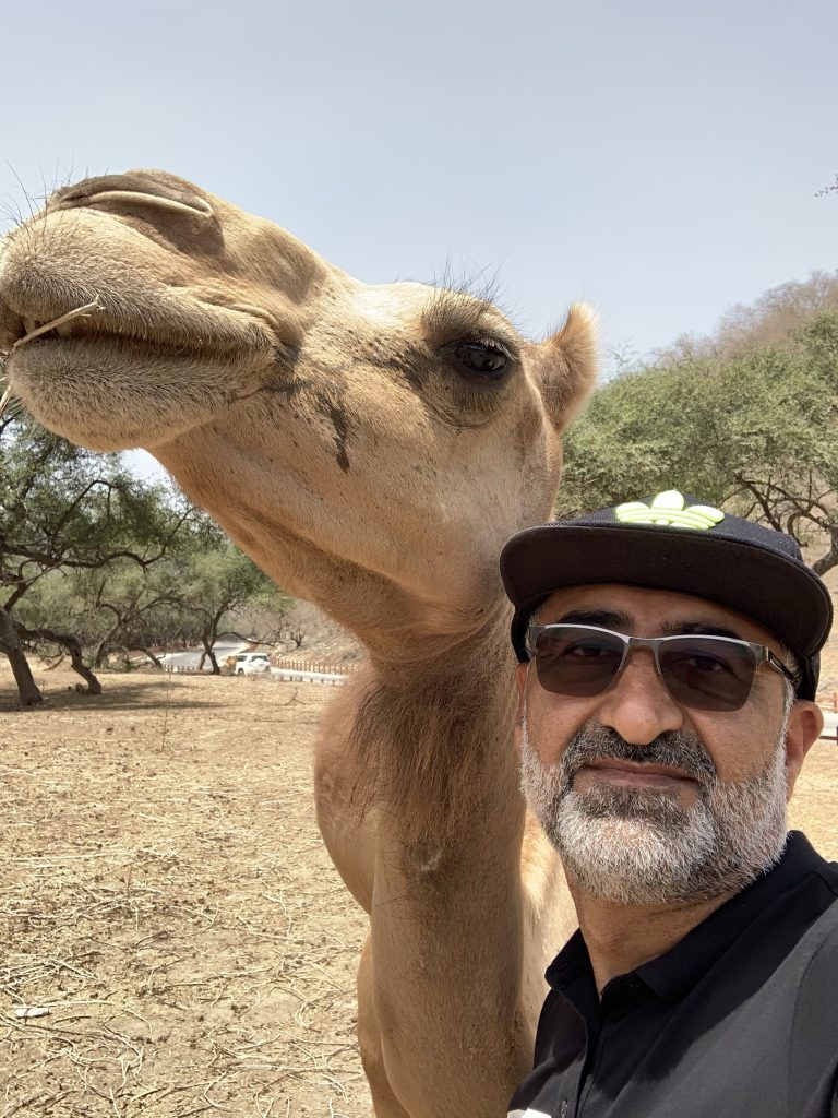 Author with a Dhofari camel in Salalah