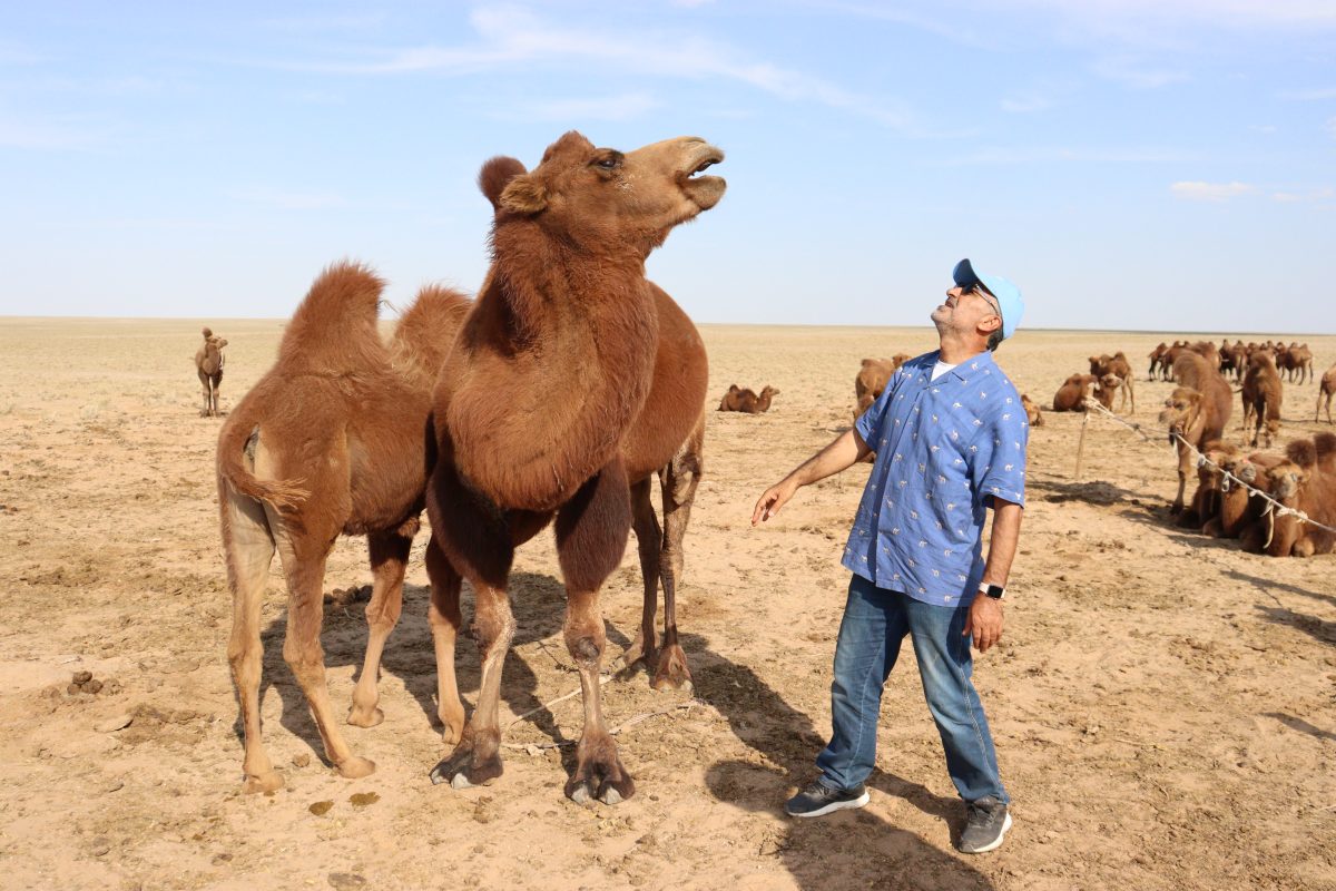 Author with a Bactrian camel in Gobi, Mongolia.